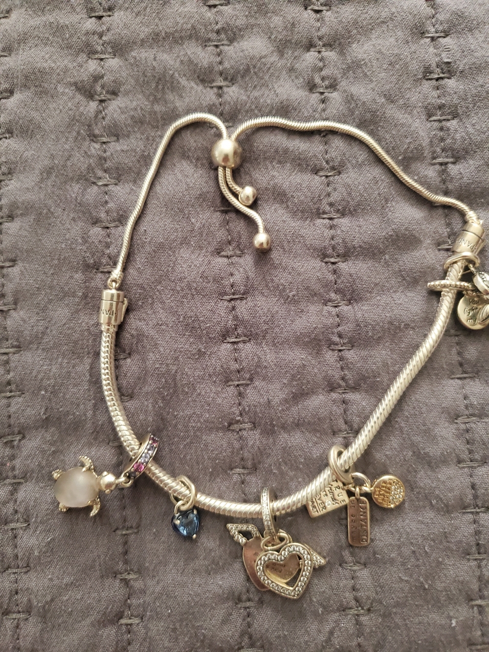 Pandora Silver Bracelet with Charms